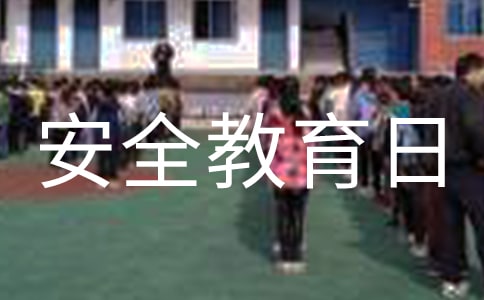 國家安全教育日主題班會教案