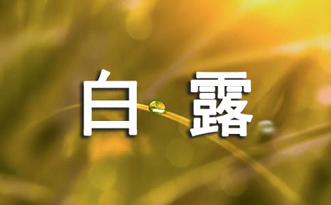 白露時節甘薯田間管理方法