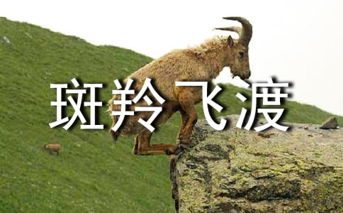 《斑羚飛渡》讀書心得錦集（15篇）