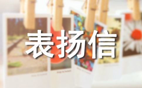 團隊表揚信