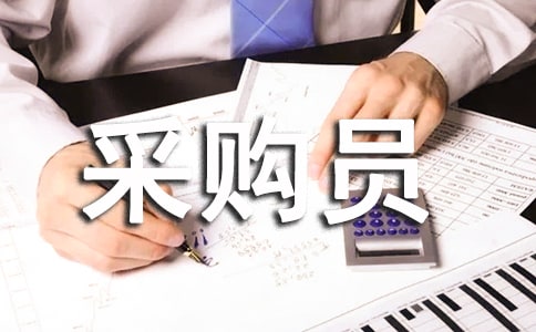 公司采購(gòu)員個(gè)人工作總結(jié)