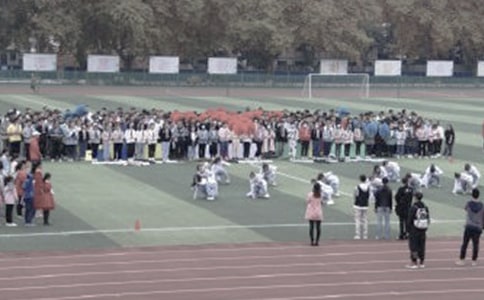 關于操場上教案合集8篇