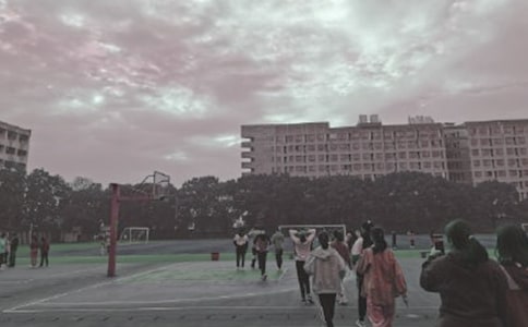 操場上教案