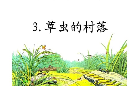 草蟲的村落小學教案