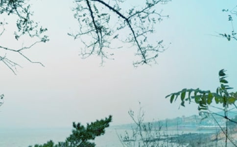 《春風》閱讀答案