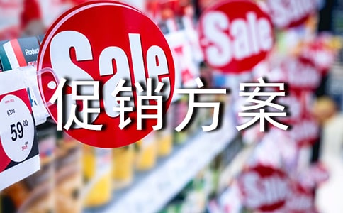 （優(yōu)秀）實用的促銷方案6篇