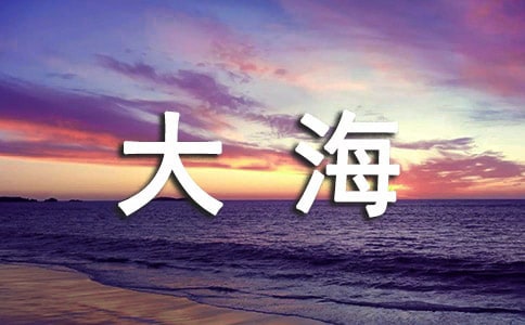 我看見了大海閱讀答案