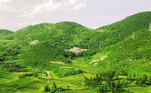 小班語言鼠小弟爬大山教案