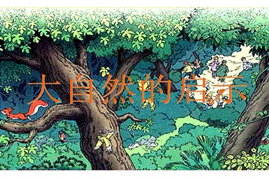 《大自然的啟示》教學反思