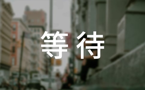 等待感言匯總80句精選