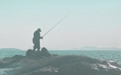 夏季黑坑釣魚的技巧有哪些
