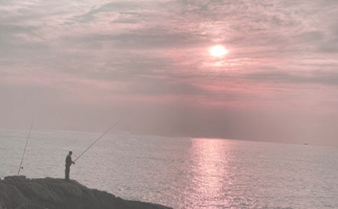 春末夏初水庫釣魚技巧