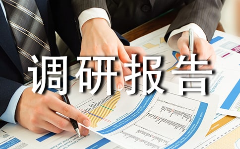 實(shí)踐調(diào)研報告范文