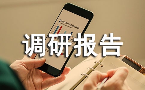 調(diào)研報告怎么寫