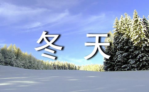 冬天到小班教案4篇