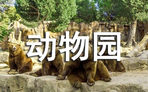 2017六一廣西去哪旅游（動物園）