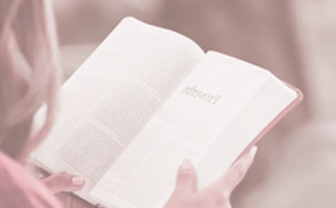 世界讀書日宣傳口號大全（15篇）