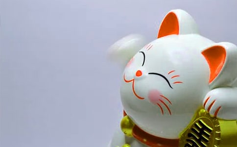 發財樹的養殖方法
