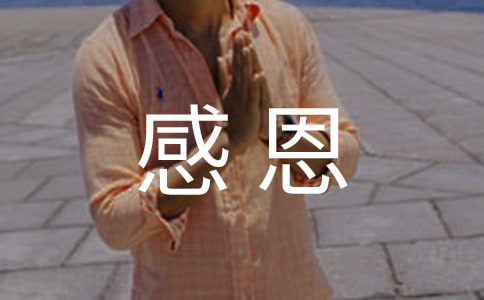 最新感恩主題活動方案
