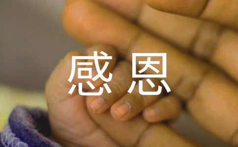 最新戶外感恩活動方案