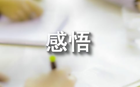 現實生活感悟短句