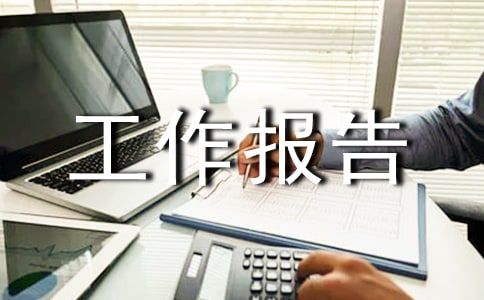 最新廠長工作報告范文