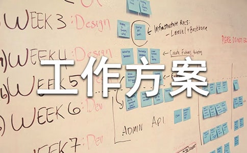 實用的工作方案模板錦集6篇