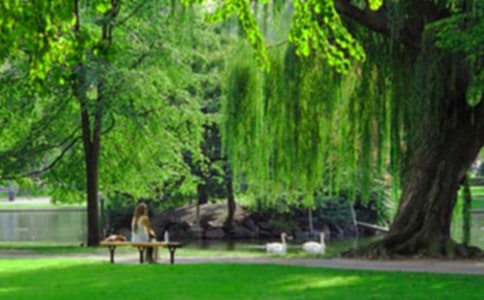 紫竹院公園游玩攻略