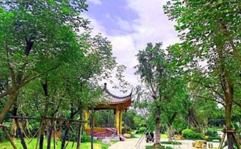 故宮到景山公園怎么走