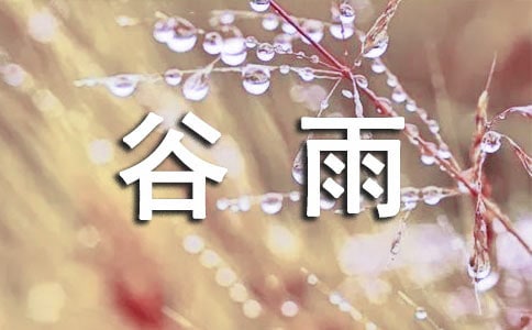 谷雨茶的功效與作用有哪些