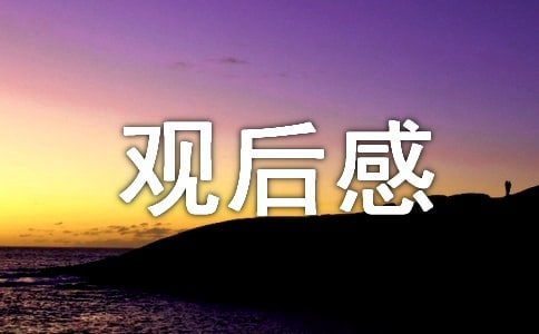 仙境之橋觀后感