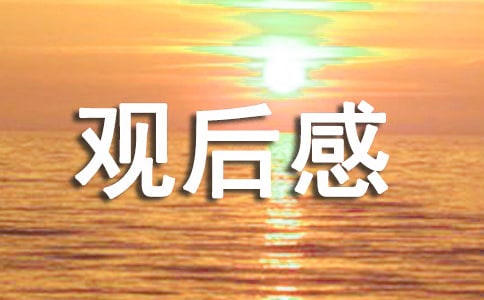 《伴我同行》觀后感