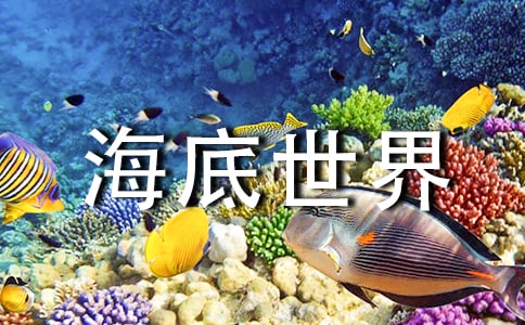 《海底世界》教案