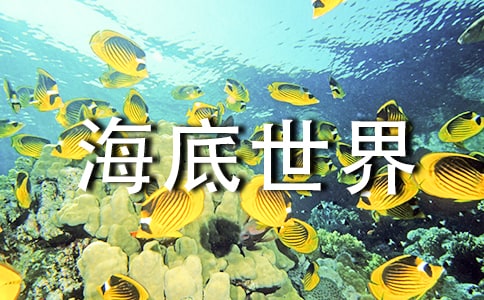 幼兒園中班美術(shù)教案評析奇妙的海底世界
