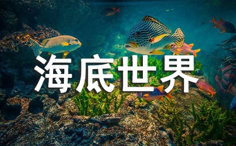 長沙海底世界好玩嗎
