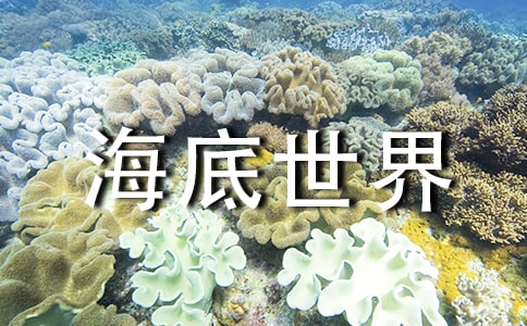 中班教案《海底世界》