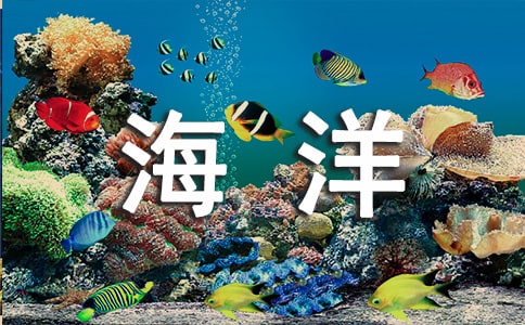 青島極地海洋世界好玩嗎