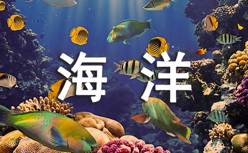 上海長風海洋世界游玩攻略