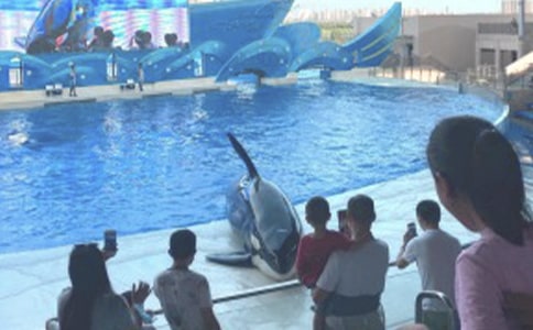重慶海洋公園游玩攻略
