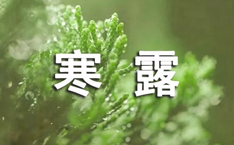【精選】2023年寒露健康養(yǎng)生知識