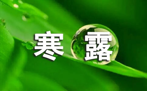 寒露釣魚技巧有哪些