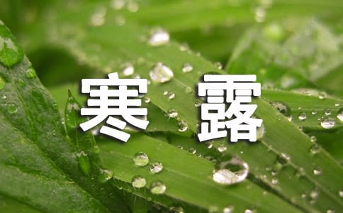 寒露吃什么食物最養生