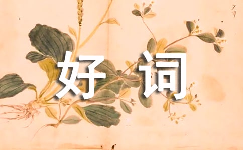 關于描寫人物心煩意亂的句子_關于人物心煩意亂的好詞好句好段摘抄大全