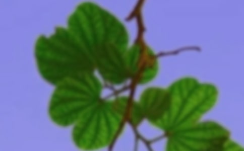 讓婆媳之間和諧相處的妙招