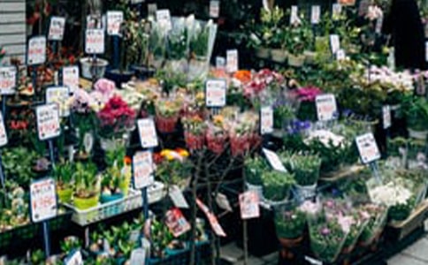 鮮花店廣告詞