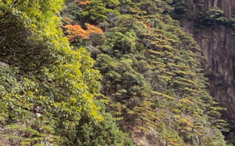 黃山旅游自助攻略