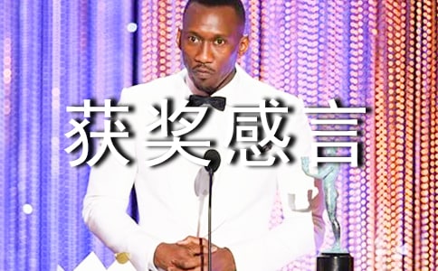 大賽獲獎感言(15篇)