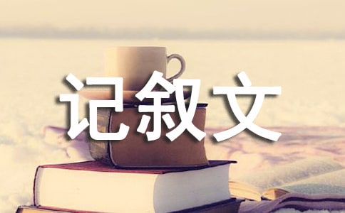 散打生活記敘文