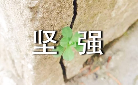 精選形容堅(jiān)強(qiáng)的句子33句