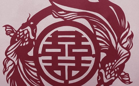 蜘蛛的剪紙教程